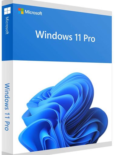 Windows 11 Professional cd key