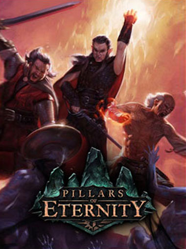 pillars of eternity hero edition steam